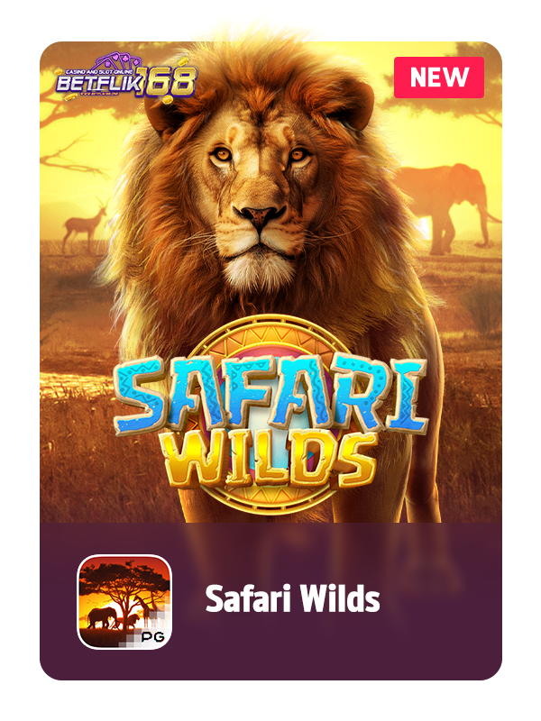 Safari review